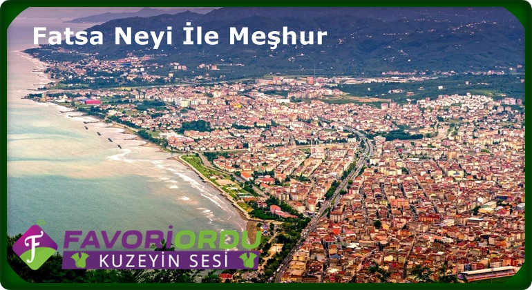 Fatsa Neyi İle Meşhur