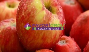 Polonya’da, Rusya’ya uygulanan ambargolar nedeniyle elma pazarının çöktüğü öne sürüldü